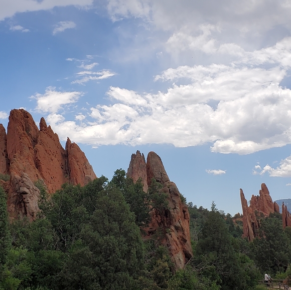 Meet your Posher, Bridget - Picture 2 of 10